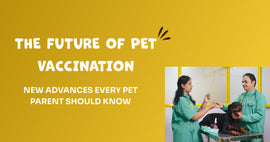 The Future of Pet Vaccination: New Advances Every Pet Parent Should Know