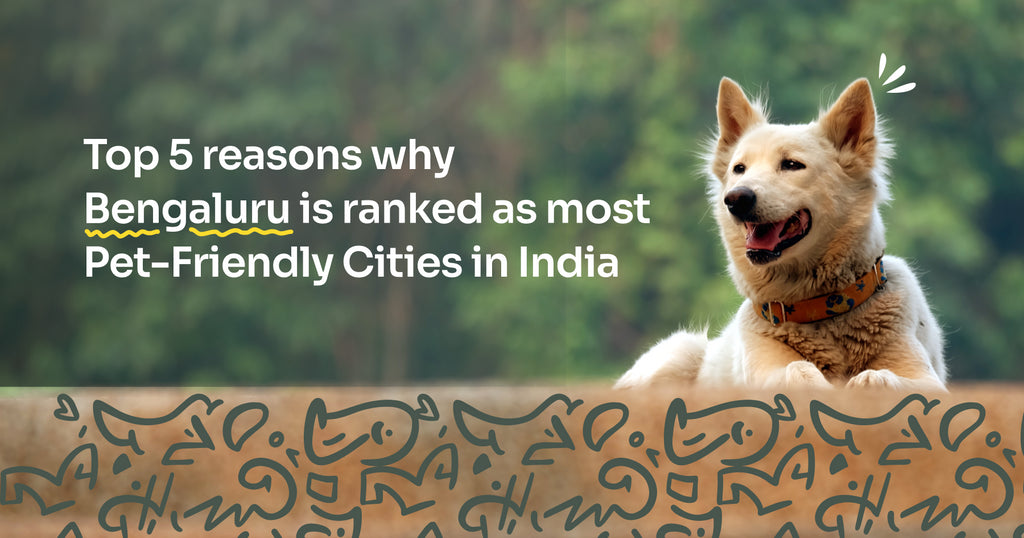 5 Reasons why Bengaluru Ranks As The Most Pet-Friendly City In India