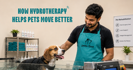 How Hydrotherapy is Changing the Way We Care for Our Pets