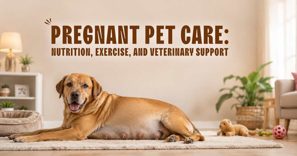 Pregnant Pet Care: Nutrition, Exercise, and Veterinary Support