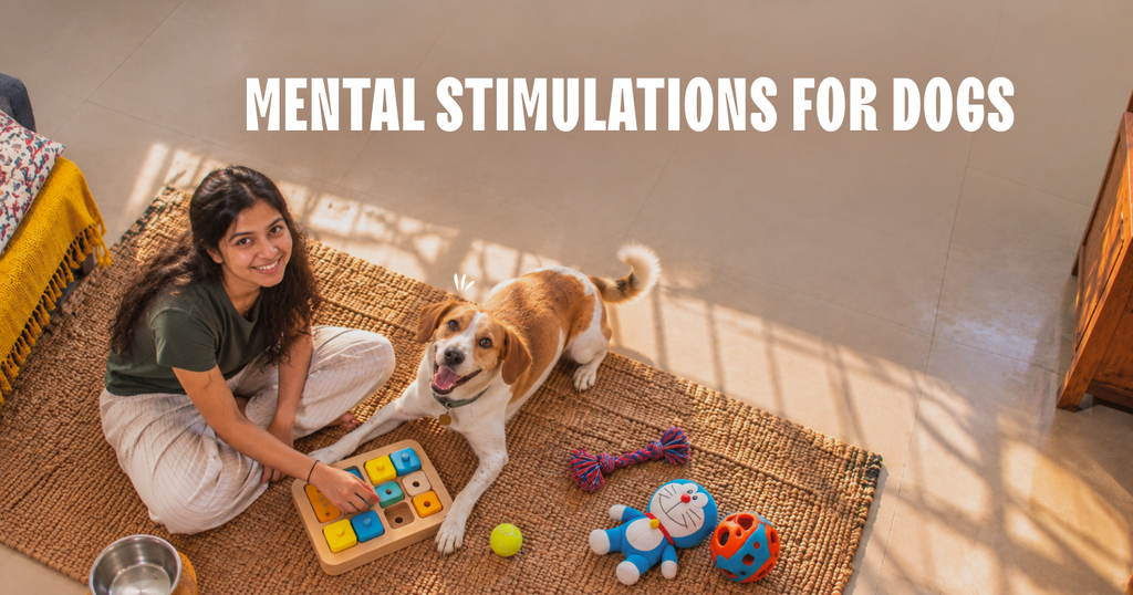 Mental Stimulations for Dogs