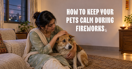 How to Protect Pets from Firework Anxiety