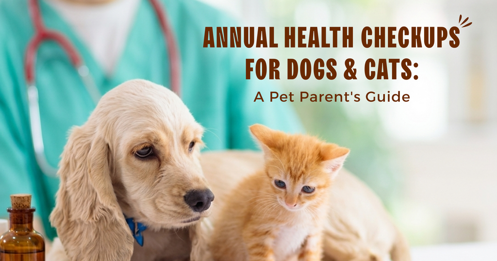 Annual Health Checkups for Dogs and Cats: What Every Pet Parent Should Know