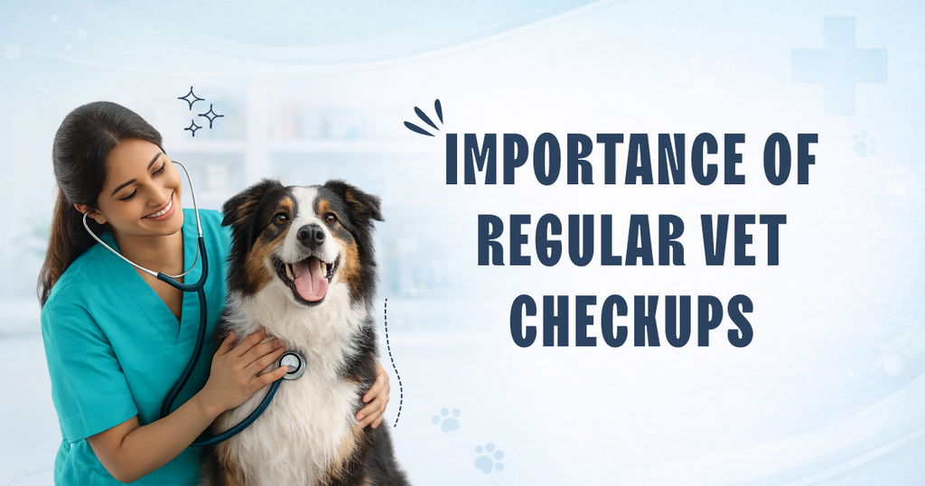 Why More Pet Parents Are Choosing Regular Vet Checkups