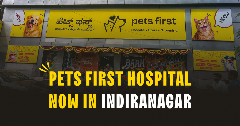 Pets First Hospital Now in Indiranagar – Complete Care for Your Beloved Pets