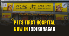 Pets First Hospital Now in Indiranagar – Complete Care for Your Beloved Pets