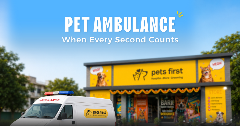 Pet Ambulance Services: Saving Precious Time During Emergencies