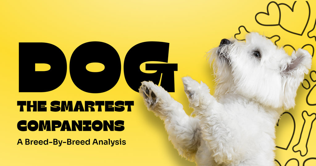 Dogs: The Smartest Companions - A Breed-by-Breed Analysis