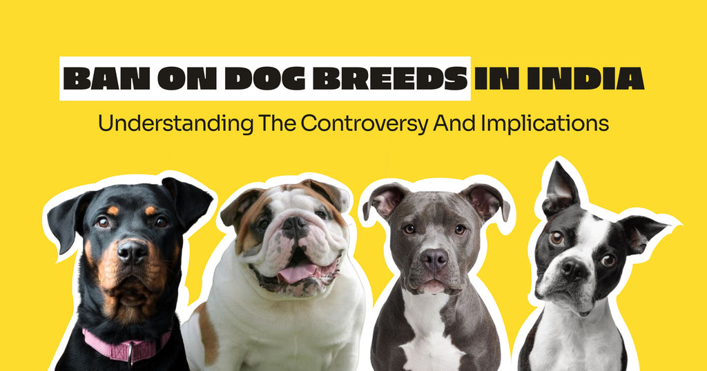 Reasons Behind the Ban on Dog Breeds in India: Understanding the Controversy and Implications