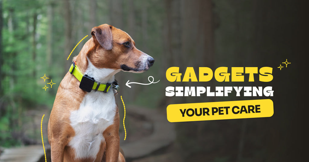 7 Pet Gadgets to Make Your Life Easier