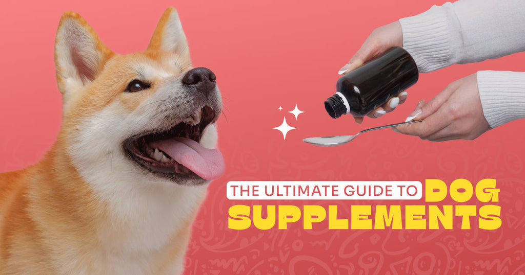 Supplements for Dogs: A Guide to Boosting Your Pet’s Health Naturally