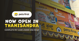 Pets First Opens a 24/7 All-in-One Pet Care Centre in Thanisandra Bangalore