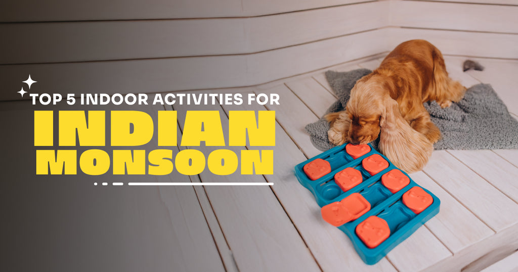 5 Fun Indoor Activities to Keep Your Pet Happy During the Indian Monsoon