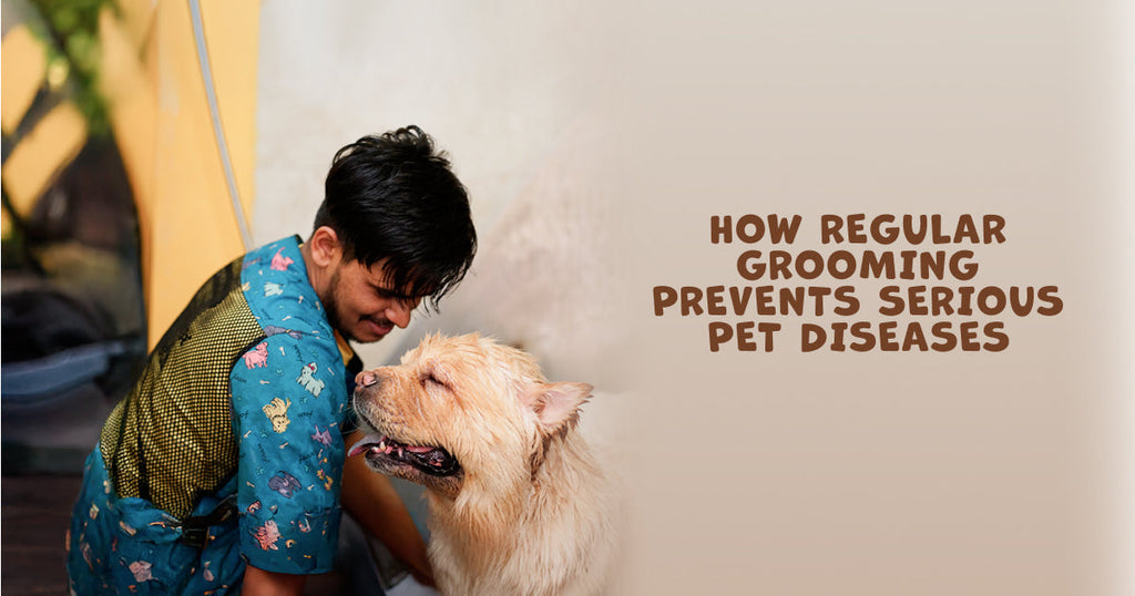 Grooming Is Healthcare: How Regular Grooming Prevents Serious Pet Diseases