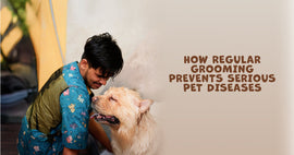 Grooming Is Healthcare: How Regular Grooming Prevents Serious Pet Diseases