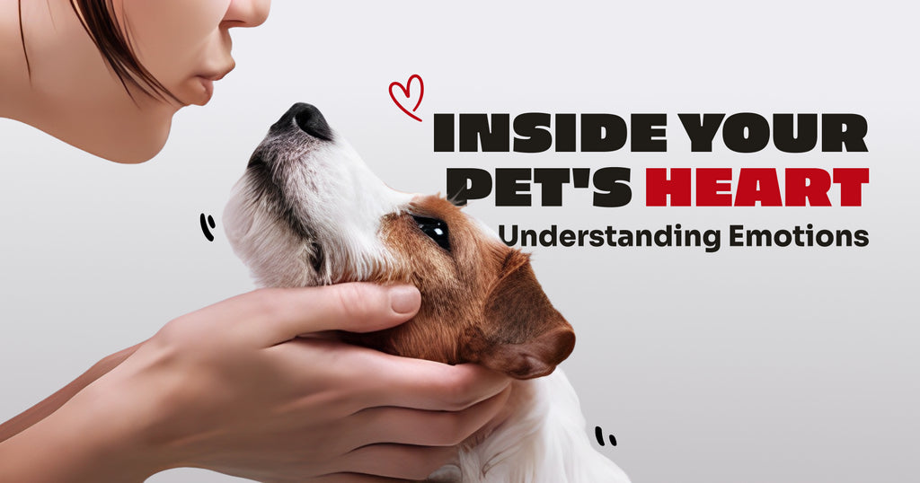 Is my pet doing well? Understand Your Pet's Emotions