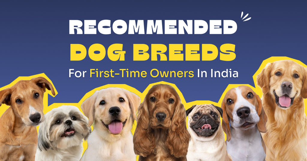 Recommended Dog Breeds for First Time Owners in India