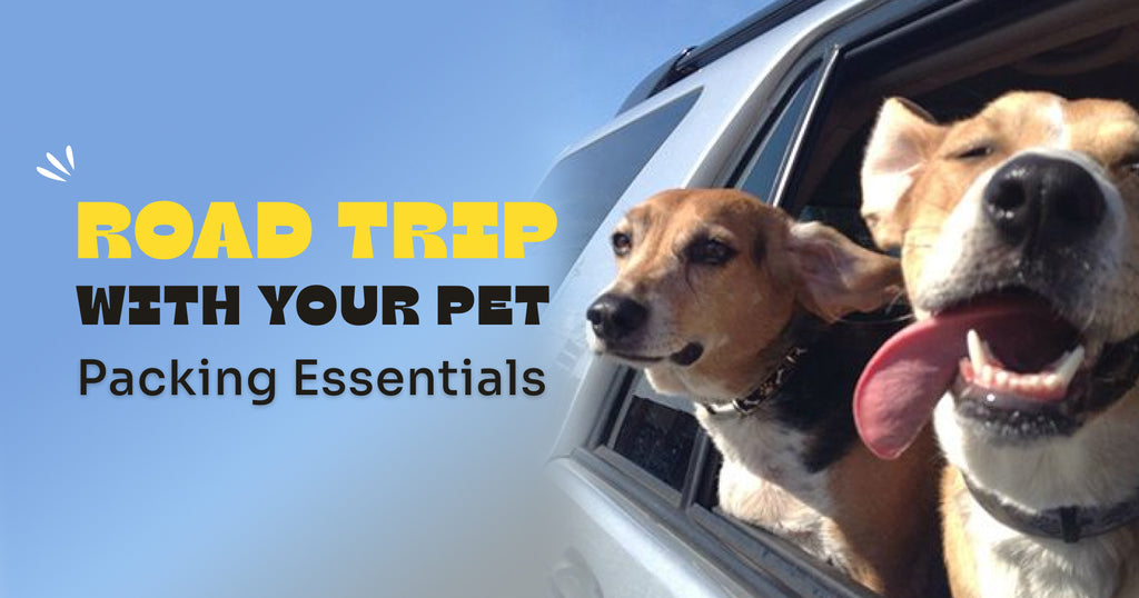 Road trip with your pet: Packing Essentials