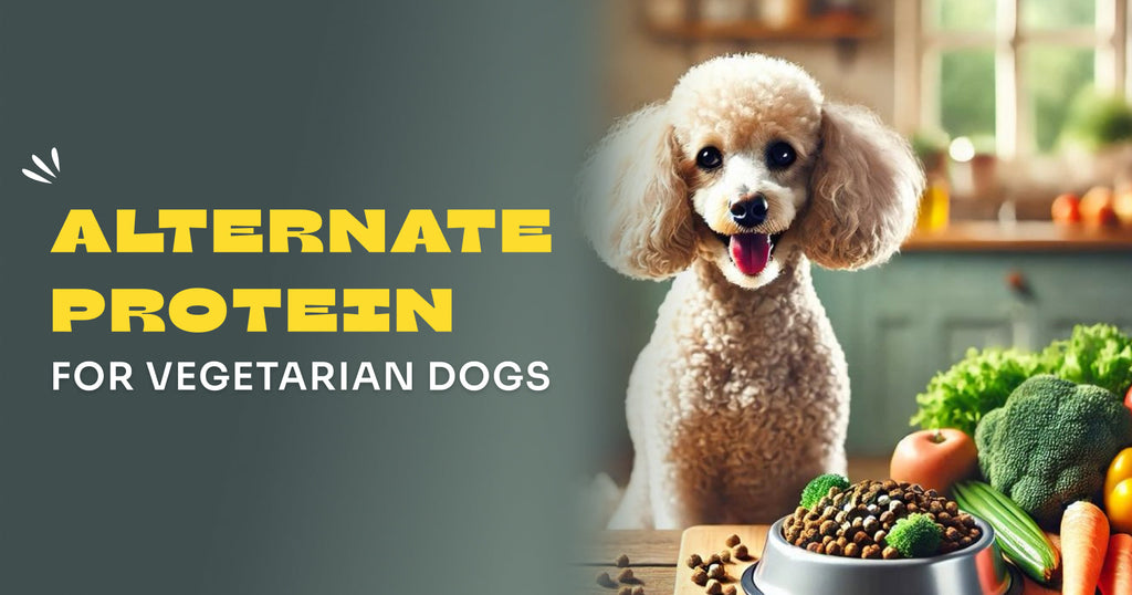 Alternate protein for Vegetarian Dogs