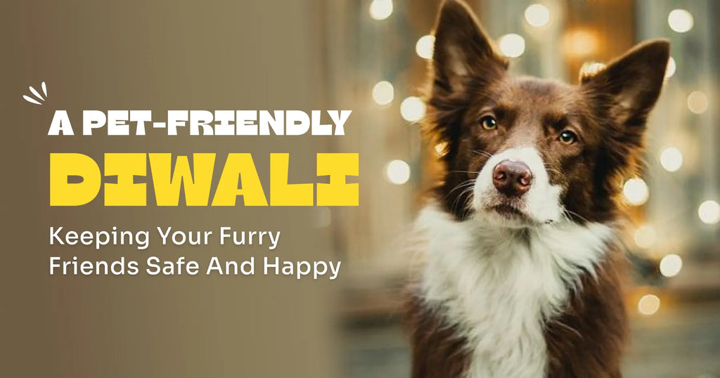 A Pet-Friendly Diwali: Keeping Your Furry Friends Safe and Happy during Diwali!