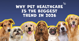 Why Pet Healthcare Is the Biggest Trend in 2026