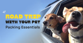Road trip with your pet: Packing Essentials