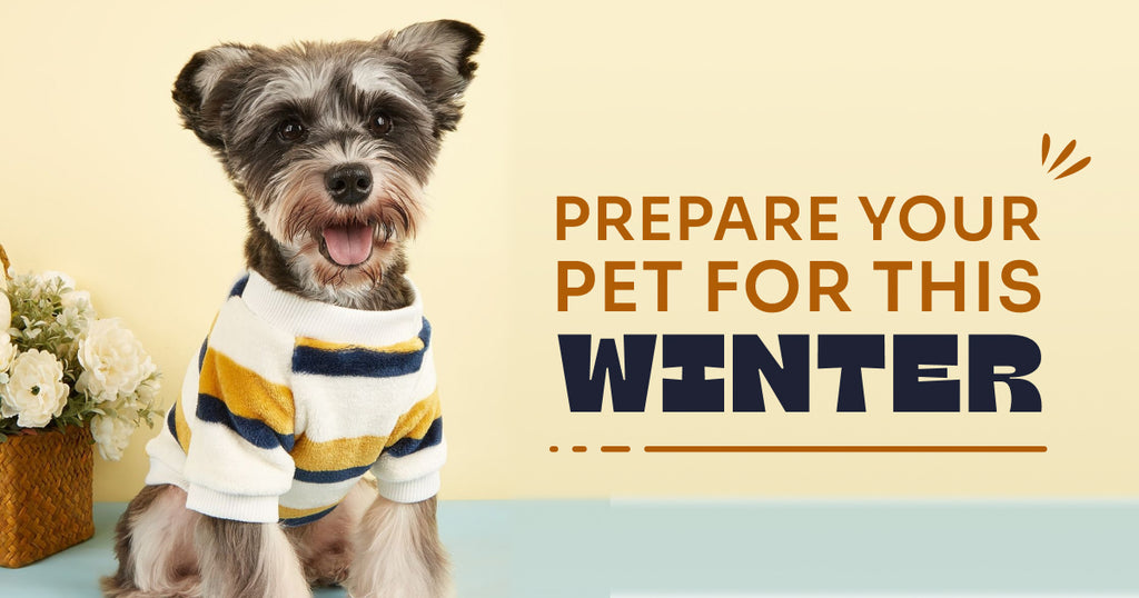 Get Your Pet Ready for Winter! Essential Tips.