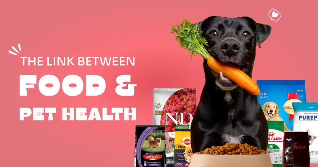 The Link between Food & Pet Health