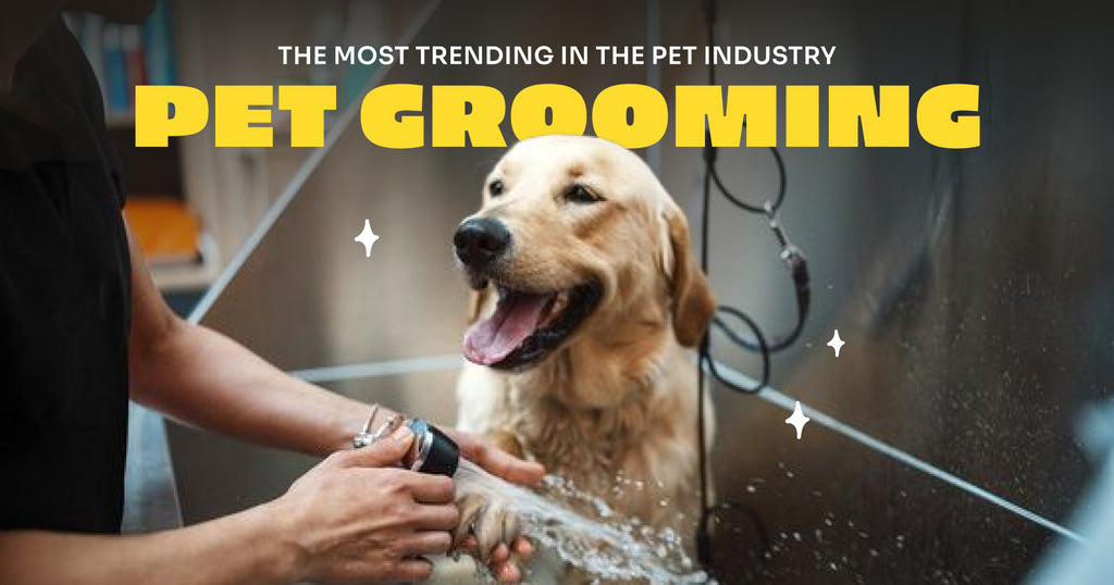 Top Trending in Pet Industry now is Pet Grooming