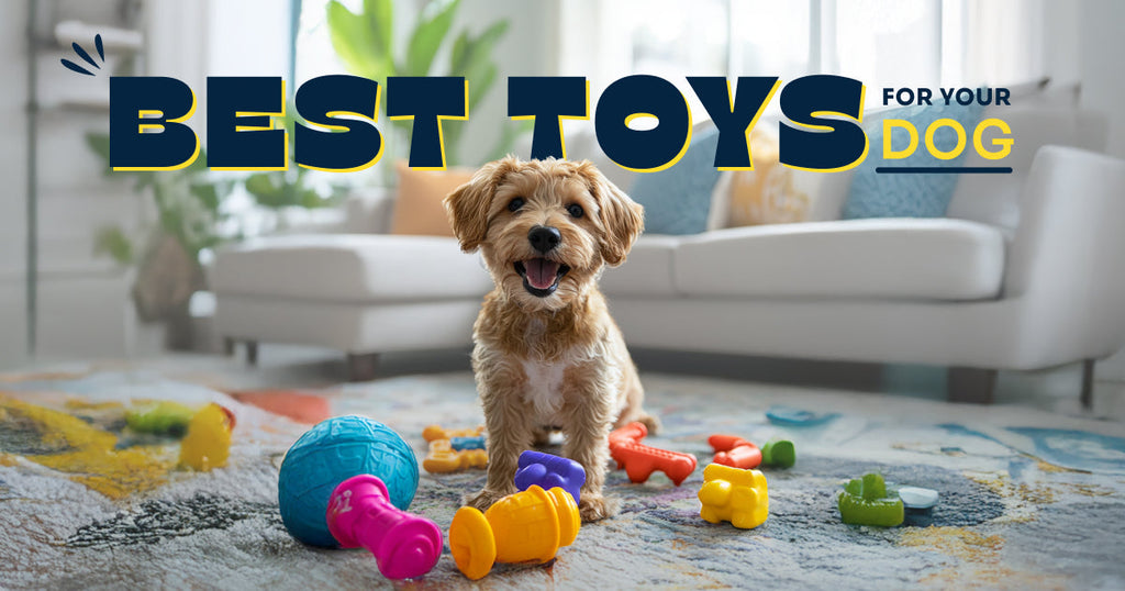 Picking the Best Toys for Your Dog