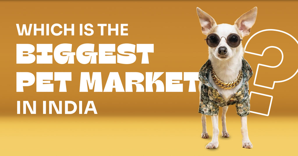 Biggest Pet Market in India