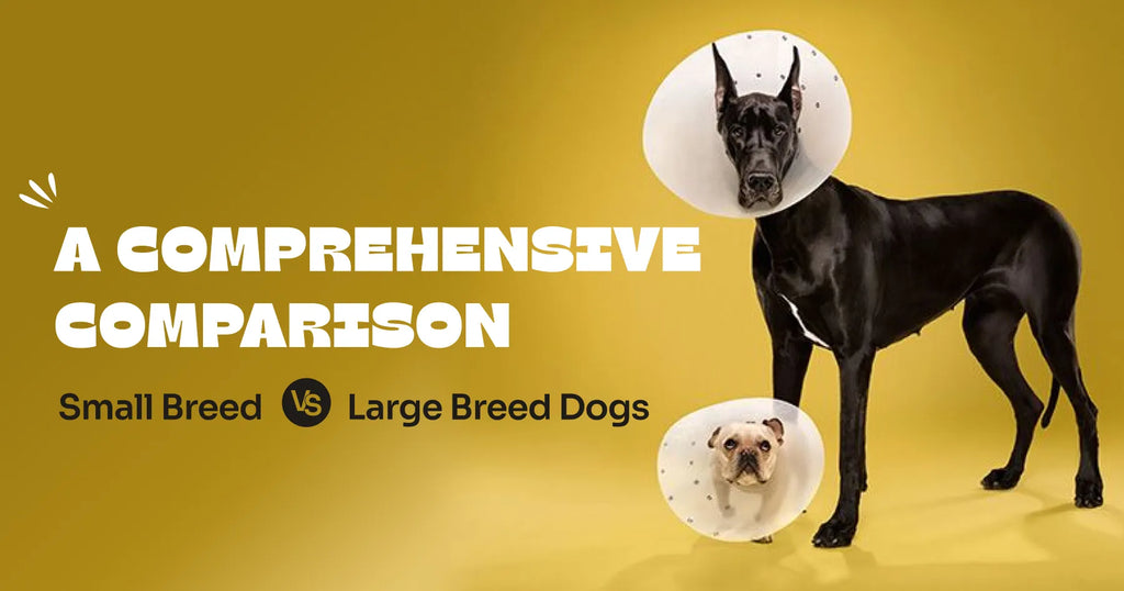 Small Breed vs. Large Breed Dogs: A Comprehensive Comparison