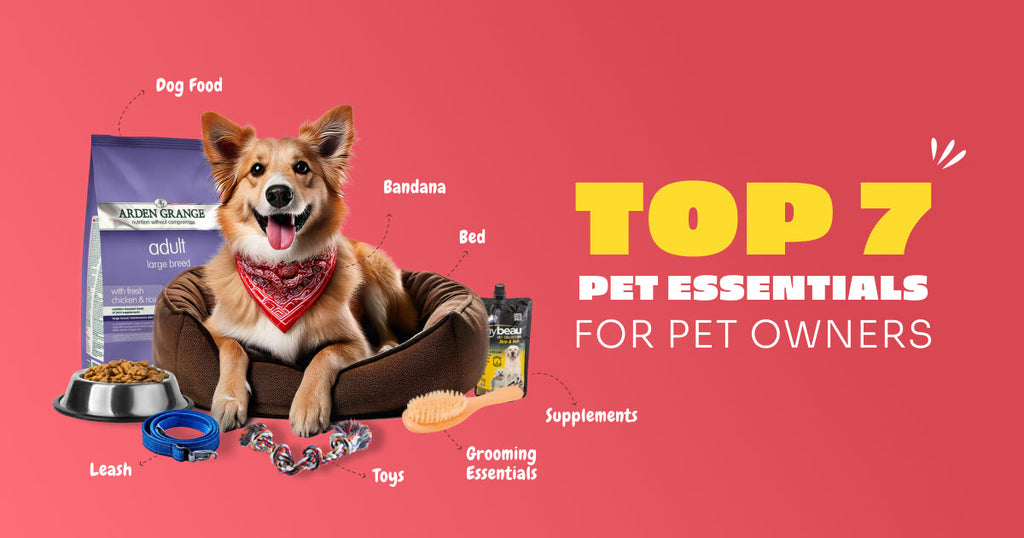 Top 7 Must-Have Pet Products for Every Pet Owner