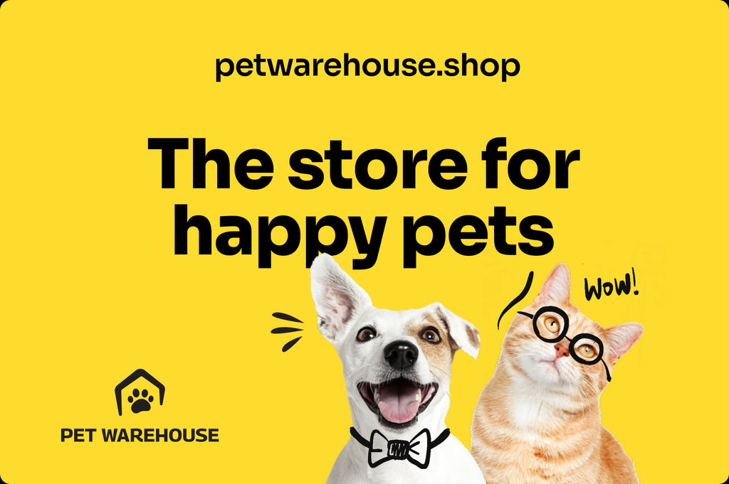 How Two Animal Lovers Took Their Love for Animals to the Next Level