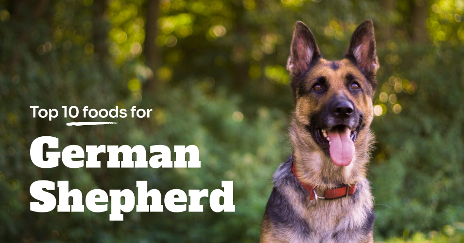 Top 10 Foods for German Shepherd
