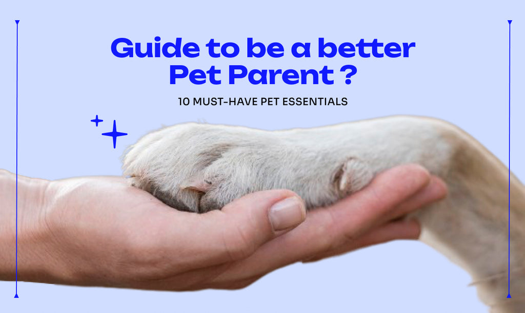 Guide to become a Better Pet Parent: 10 Must-Have Pet Essentials