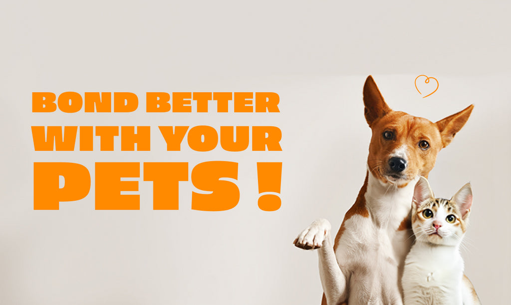 How to Bond Better with your Pets