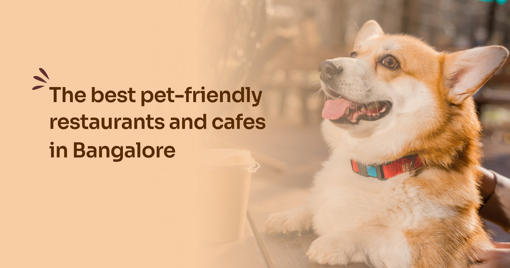 Most pet friendly restaurants in Bangalore