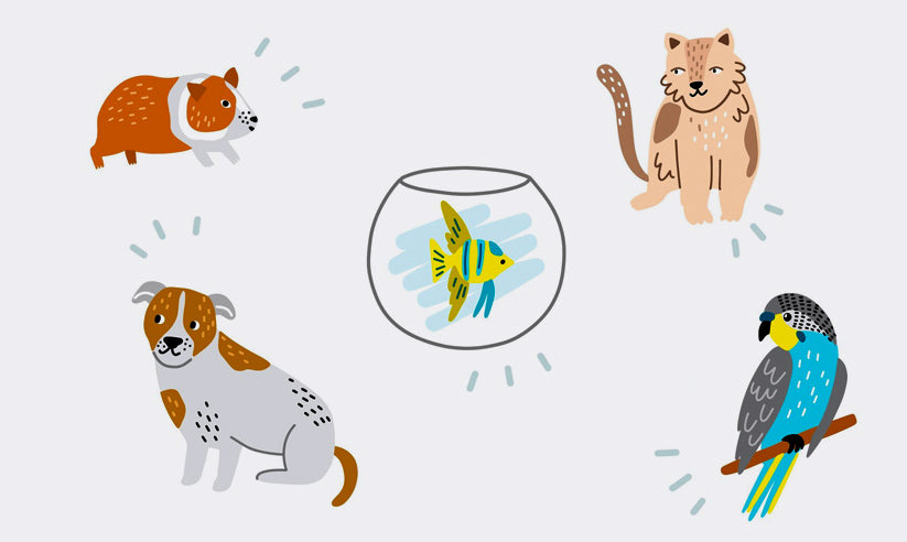 2023 – Top 5 Pets to Adopt in Bangalore (for Kids and Families)