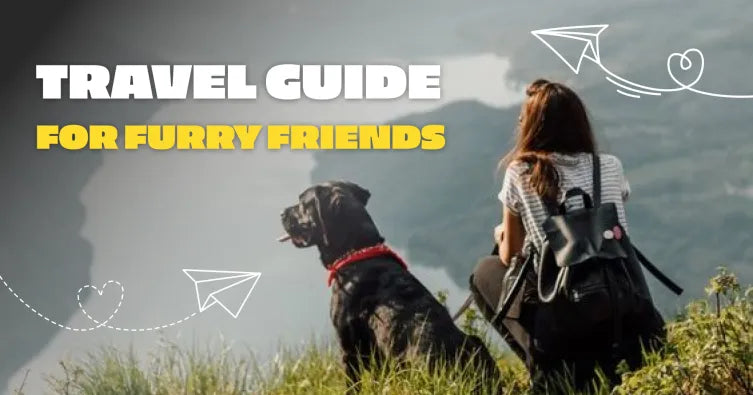 Essential Travel Safety Tips for Your Furry