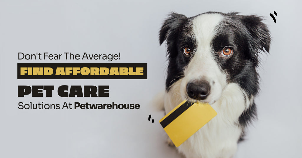 Average Pet Expenses: A Guide for Pet Parents from Petwarehouse