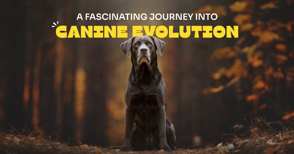 15 Extinct Dog Breeds - Vanishing Canines Mystery Unfolding