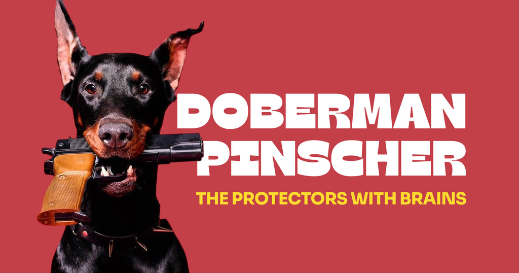Doberman Pinscher: The Protectors with Brains