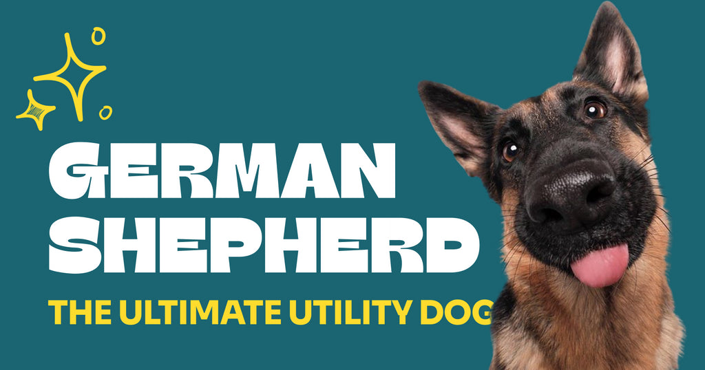 German Shepherds: The Ultimate Utility Dog