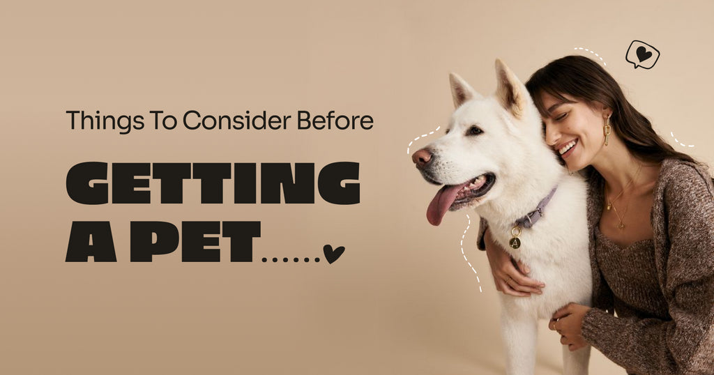 Things to Consider Before Getting a Pet