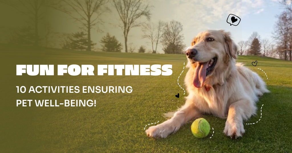 Furry Fitness: Top 10 Activities to Keep Your Pet in Tip-Top Shape