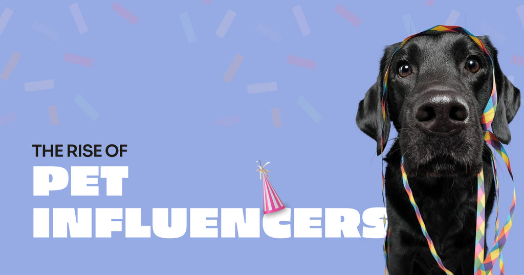The Rise of Pet Influencers: Unleashing Trends on Social Media