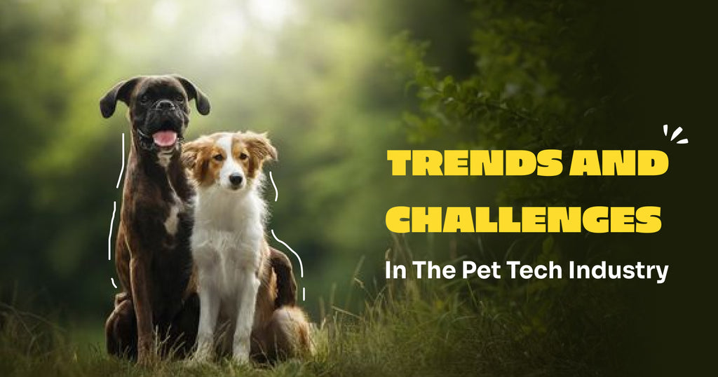Global Trends and challenges in the Pet Tech Industry