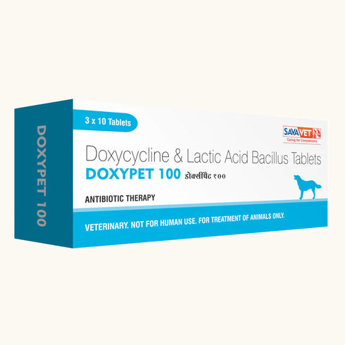 Savavet Doxypet (Doxycycline) Tablet