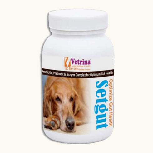 Vetrina Setgut Powder for Dogs & Cats